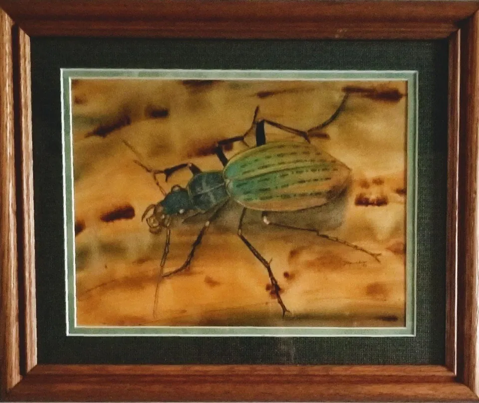 Colored Pencil Beetle, sold original abstract painting by Debbi Homola