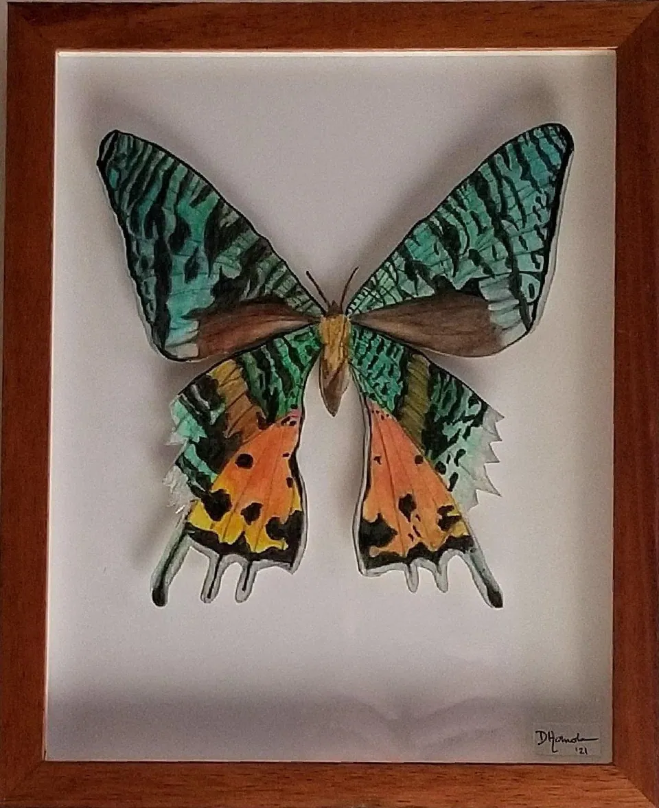 Madagascar Sunset Moth, sold original abstract painting by Debbi Homola